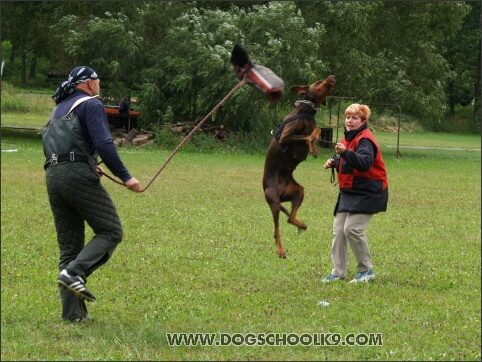 Training camp - Lukova 2007